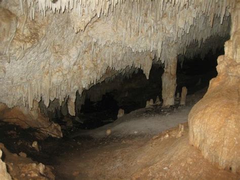 GREAT cave - Picture of Cayman Brac Caves, Cayman Brac - TripAdvisor