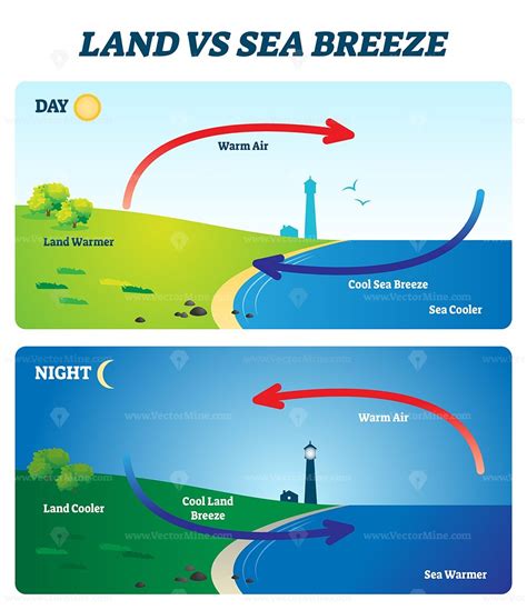 Land vs sea breeze vector illustration | Earth science lessons ...