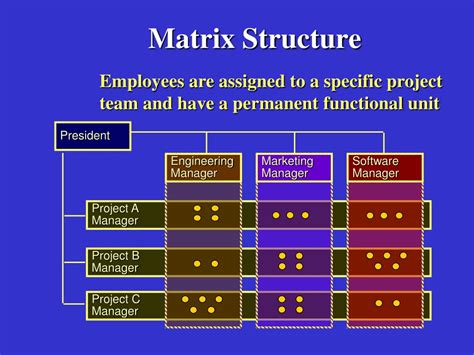 PPT - Matrix Structure PowerPoint Presentation, free download - ID:4347221