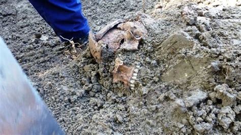 Mass grave site with Srebrenica victims found in east Bosnia : bih