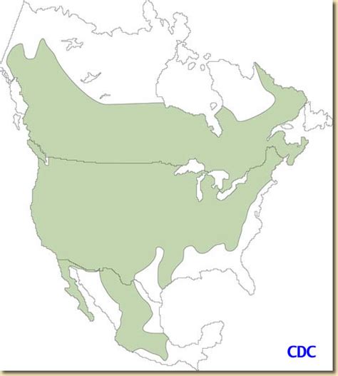 Deer Mouse Range - North America