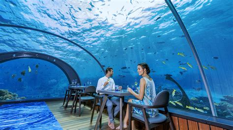 How Much Is The Underwater Hotel In Maldives | Psoriasisguru.com