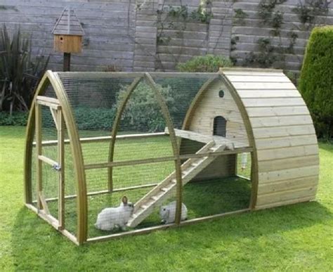 DIY Rabbit Hutch: Follow the easy steps to make your own | All Pet Care