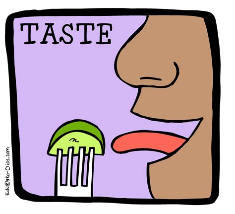 Taste Clip Art, 5 senses clip art