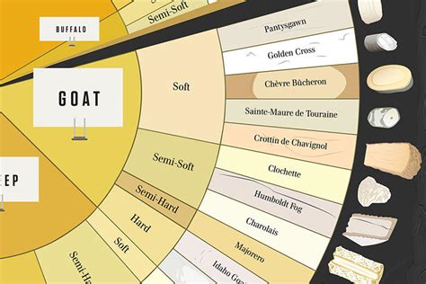 Infographic: How To Tell The Difference Between 66 Varieties Of Cheese ...