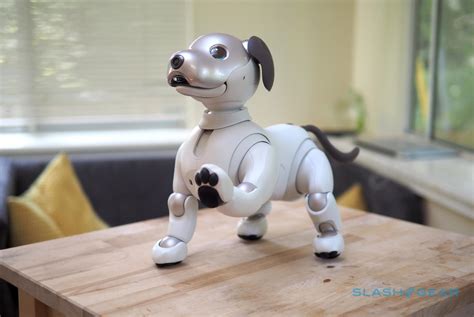 Sony Aibo (2018) Gallery - SlashGear