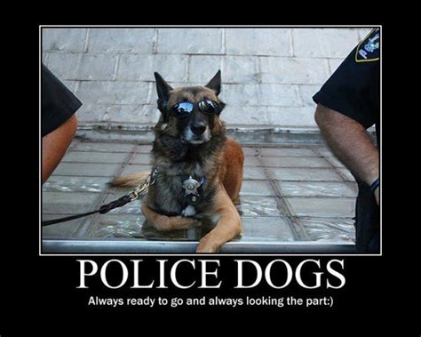 Police Dog Funny Quotes. QuotesGram