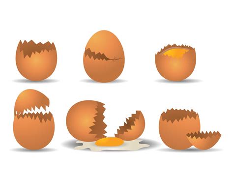 Broken egg vector set 166305 Vector Art at Vecteezy