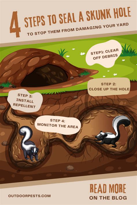 How To Seal a Skunk Hole | Outdoor Pests