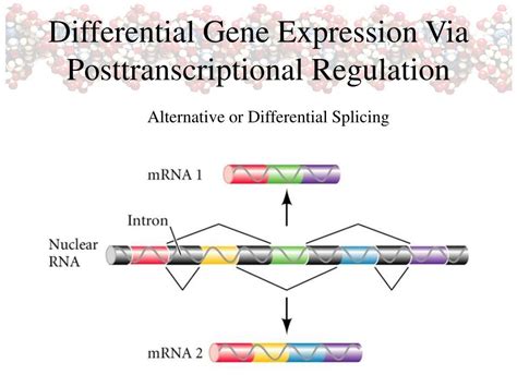 PPT - Differential Gene Expression PowerPoint Presentation, free ...