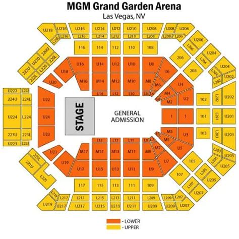 MGM Grand Garden Arena In 2024