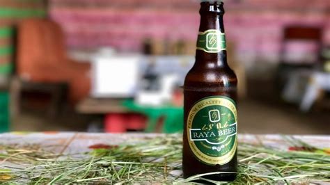 BGI Ethiopia announces resumption of operations in Raya Brewery | Food ...