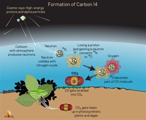 Carbon 14