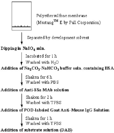 New eastern blotting protocol | Download Scientific Diagram