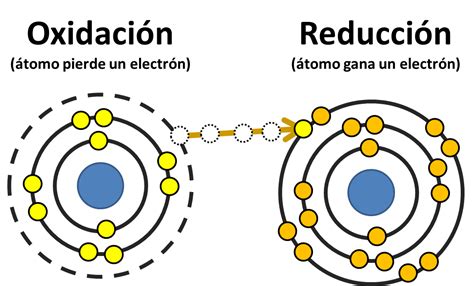 Pin en bioquimica