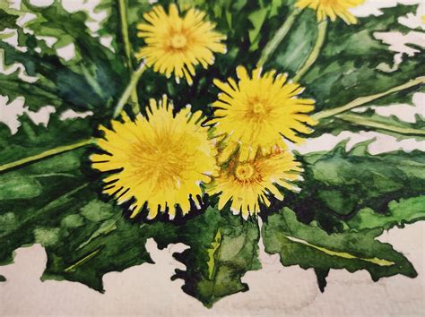 Dandelion Wall Art Watercolor Original Art Flower Artwork | Etsy