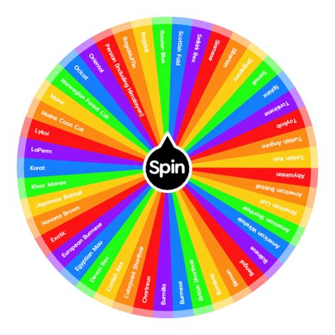 CFA Cat Breeds | Spin the Wheel - Random Picker