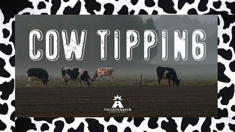 Cow Tipping: Tipping Over the Cash Cow | Harvest Mobile