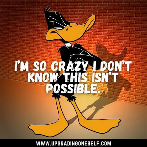 Top 15 Memorable Quotes From Daffy Duck To Make Your Day