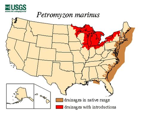 Texas Invasive Species Institute