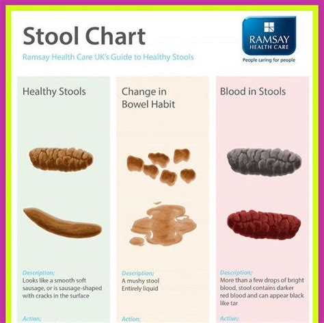 What Does Blood In Your Stool Look Like Pictures - What Does