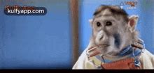 Monkey Surprised GIFs | Tenor