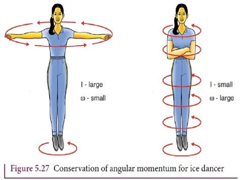 17 Conservation of Momentum Examples in Real Life – StudiousGuy