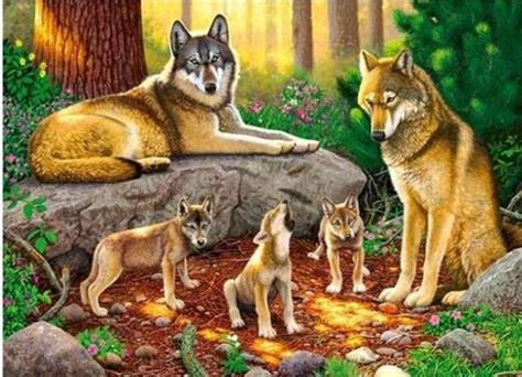 Wolf Family Paint By Numbers - Numeral Paint Kit