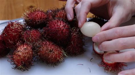 Rambutan How to Eat It and What Does It Taste Like