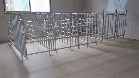 Pig Farming Equipment Pig Gestation Stall Galvanized Pipe Sow Pig ...