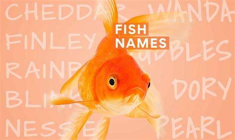 The 200 Best Fish Names | BeChewy