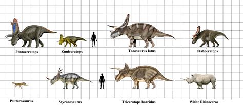 Ceratopsian Size Chart by modelnut on DeviantArt