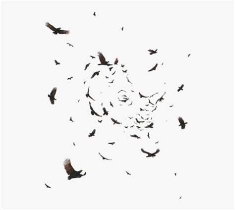 Flock Of Ravens Flying, HD Png Download , Transparent Png Image - PNGitem