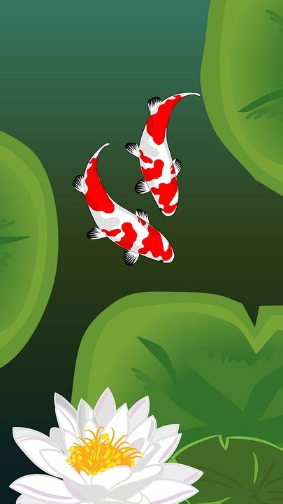 Koi Pond Fish Wallpaper Phone - Free image on Pixabay