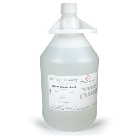 Technical Grade Sodium Silicate Solution or Water Glass, 1 gal. for ...