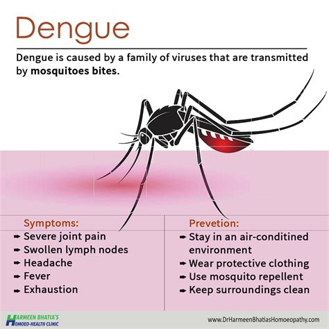 List 96+ Pictures Dengue Symptoms Photos Pictures Stunning