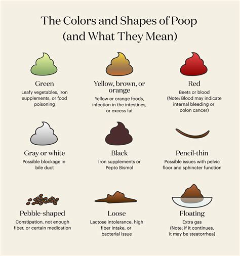 Why Is My Poop Green? And Other Poop Color Meanings | theSkimm