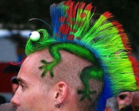 Very inventive hair style | Wacky hair, Hair humor, Lizard haircut