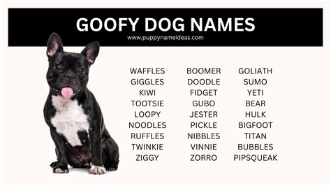 180+ Goofy Dog Names - Puppy Name Ideas