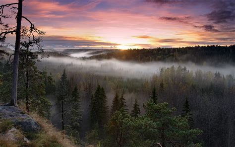 Foggy Sunrise National Park, HD Nature, 4k Wallpapers, Images ...