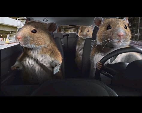 "driving" Meme Templates - Imgflip