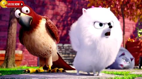 The Secret Life Of Pets - Gidget Best Moments - YouTube