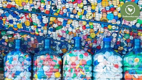 Plastic Bottle Cap Recycling: How, Where & Why? - TheRoundup