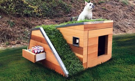 Cool Dog Houses With Modern Designs, Fancy Features and Comfort