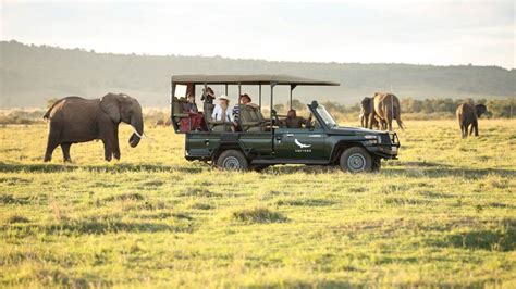 Game Drive Safari in Maasai Mara National Reserve | Kenya Safaris