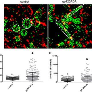 gp120 reduces mitochondrial function. a OCR was measured in rat ...