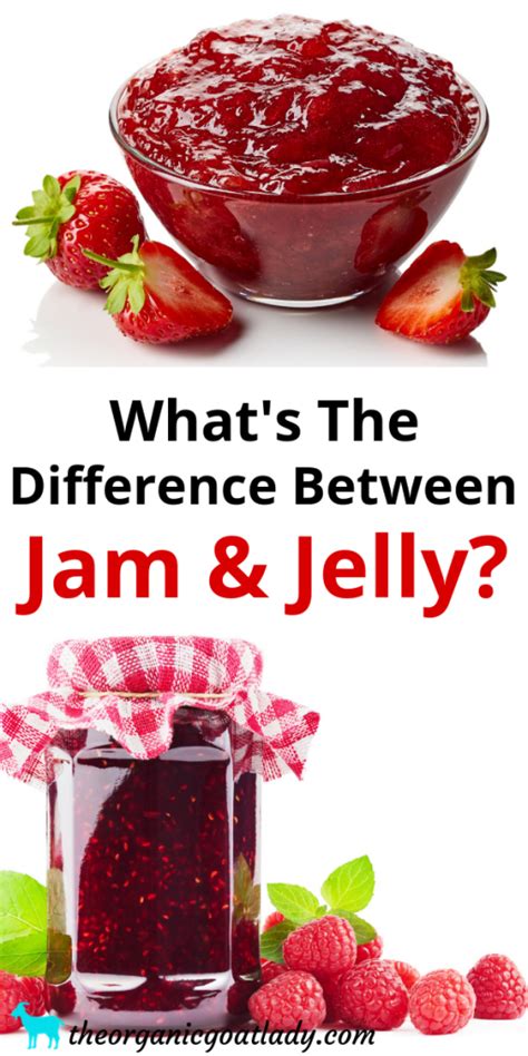 What's the Difference Between Jam and Jelly? - The Organic Goat Lady