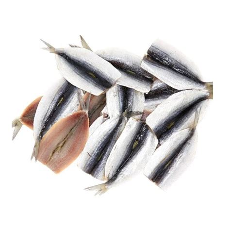 Frozen Fish Sardines For Canning And Market Sardinella Longiceps - Buy ...