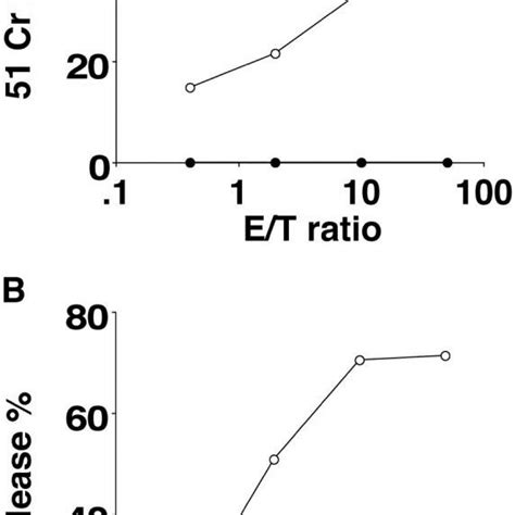 Specificity of primary CTL cell cultures tested in a 51Cr release ...