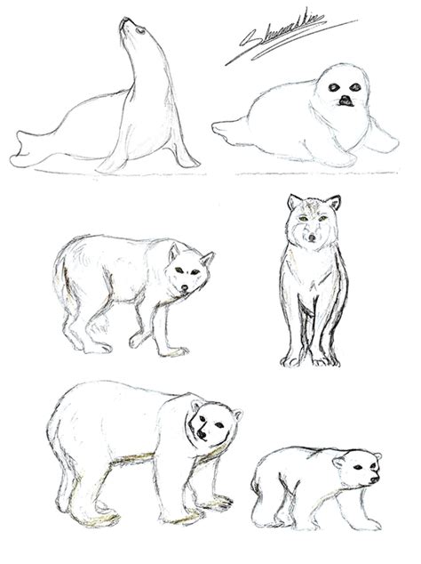 Tundra animals by shamashin on DeviantArt